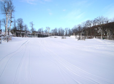 Wintergreen ski lessons