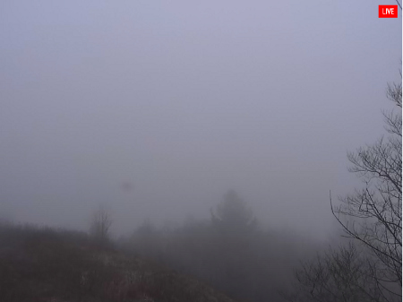 Fog at Sugar Mountain