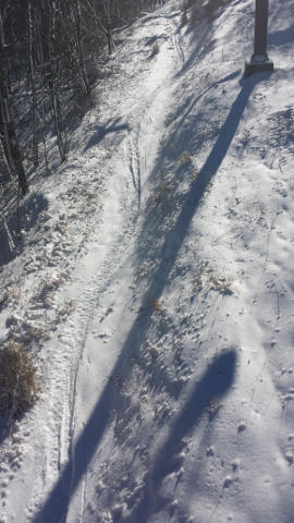 Tracks in the fresh snow at Wolf Ridge