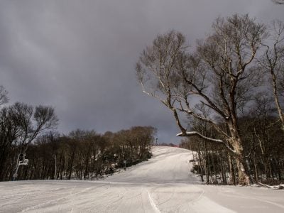 gunther's way ski slope at sugar mountain