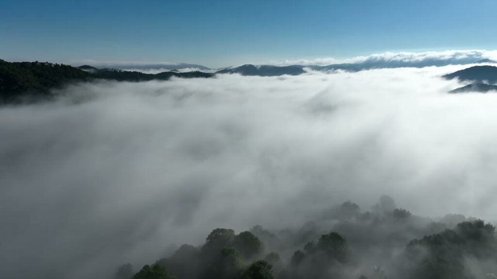 August 23rd, 2022 Morning Fog Update