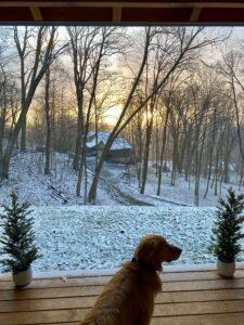 Sunrise, snow on the ground, and a dog.